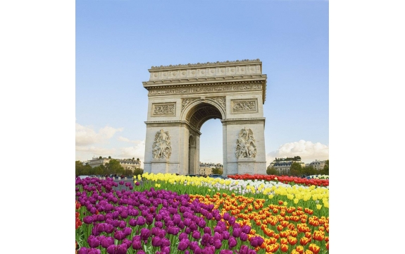 Фотообои FTP-3-04-00007 Триумфальная арка в Париже