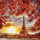 Фотообои FTP-3-04-00009 Эйфелева башня на закате, Париж осенью №1
