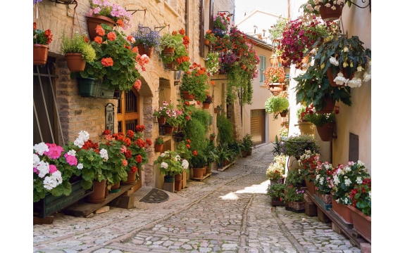 Фотообои FTP-4-04-00013 Улица в цветах, Италия