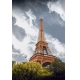 Фотообои FTP-2-04-00020 Пасмурный день в Париже, акцент на Эйфелевой башне №1