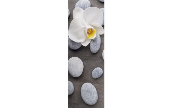Фотообои FTP-1-06-00005 Орхидея, белый цветок на камнях