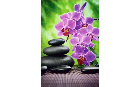 Фотообои FTP-2-06-00005 Красивые орхидеи на камнях