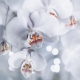 Фотообои FTP-3-06-00006 Орхидея в черно-белом №1