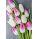 Фотообои FTP-2-06-00010 Тюльпаны, цветы в букете №1
