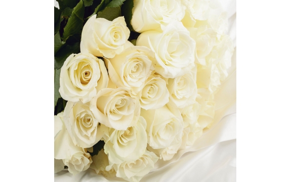 Фотообои FTP-3-06-00055 Розы на белом шелке