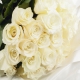 Фотообои FTP-3-06-00055 Розы на белом шелке №1