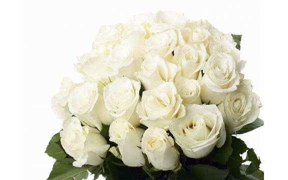 Фотообои FTP-4-06-00059 Белые розы в букете