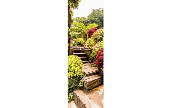 Фотообои FTP-1-07-00003 Деревянная лестница в осеннем саду