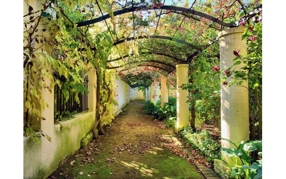 Фотообои FTP-4-07-00007 Цветущая терраса с колоннами, осенний сад