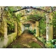 Фотообои FTP-4-07-00007 Цветущая терраса с колоннами, осенний сад №1