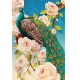Фотообои 3D FTP-2-09-00030 Павлин на ветке с красивыми розами №1