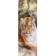 Фотообои FTP-1-12-00011 Китайская картина с тигром №1