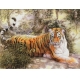 Фотообои FTP-4-12-00011 Тигр на траве в китайском стиле №1