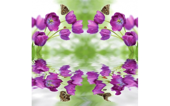 Фотообои FTP-3-06-00061 Тюльпаны с бабочками в отражении воды